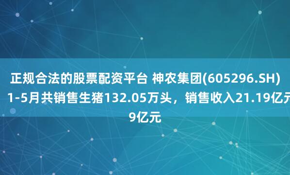 正规合法的股票配资平台 神农集团(605296.SH)：1-5月共销售生猪132.05万头，销售收入21.19亿元