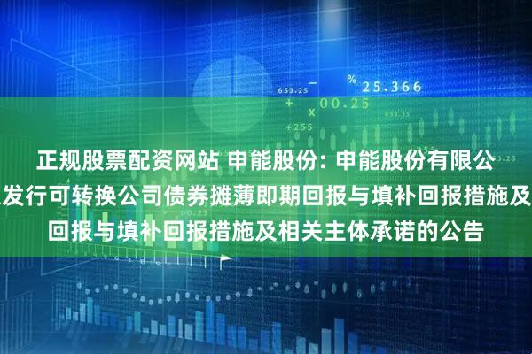 正规股票配资网站 申能股份: 申能股份有限公司关于向不特定对象发行可转换公司债券摊薄即期回报与填补回报措施及相关主体承诺的公告